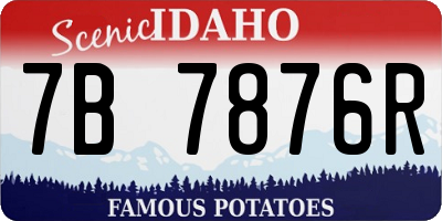 ID license plate 7B7876R