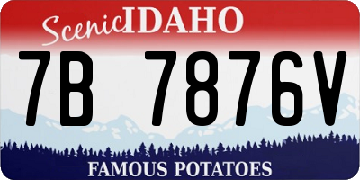 ID license plate 7B7876V