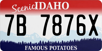 ID license plate 7B7876X