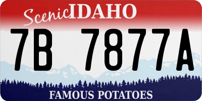 ID license plate 7B7877A