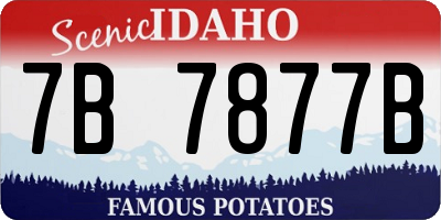 ID license plate 7B7877B