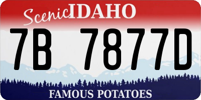 ID license plate 7B7877D