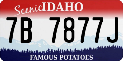 ID license plate 7B7877J