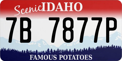 ID license plate 7B7877P