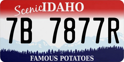 ID license plate 7B7877R
