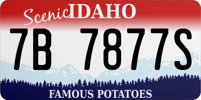 ID license plate 7B7877S