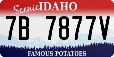 ID license plate 7B7877V
