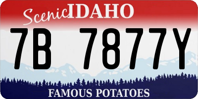ID license plate 7B7877Y