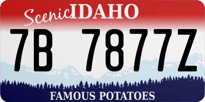 ID license plate 7B7877Z