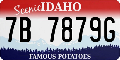 ID license plate 7B7879G