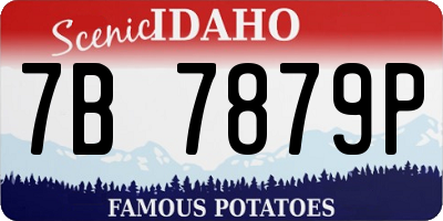 ID license plate 7B7879P