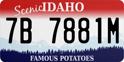 ID license plate 7B7881M