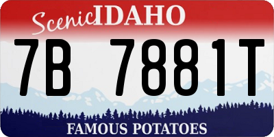 ID license plate 7B7881T