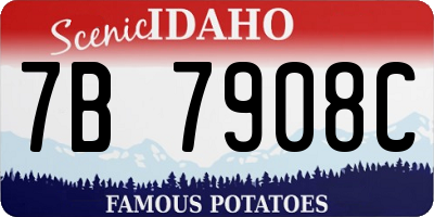 ID license plate 7B7908C