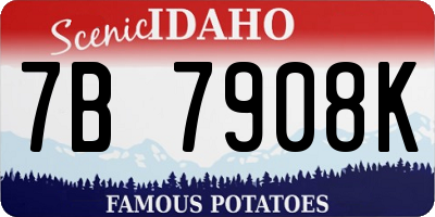 ID license plate 7B7908K