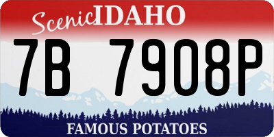 ID license plate 7B7908P