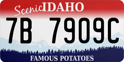ID license plate 7B7909C