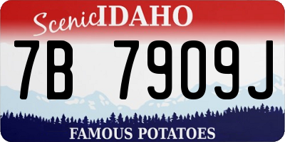 ID license plate 7B7909J