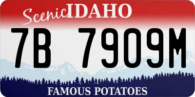 ID license plate 7B7909M