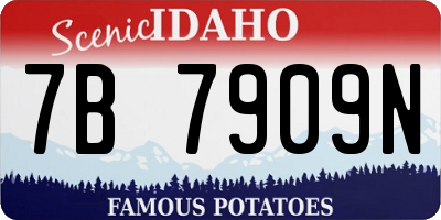 ID license plate 7B7909N