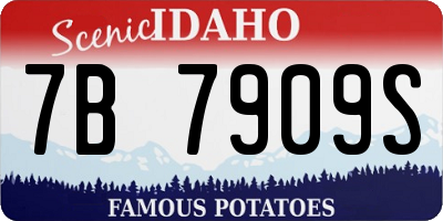 ID license plate 7B7909S
