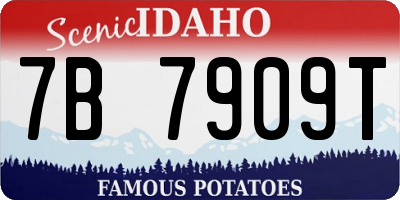 ID license plate 7B7909T