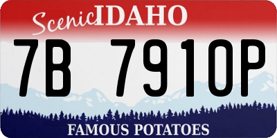ID license plate 7B7910P