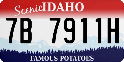 ID license plate 7B7911H