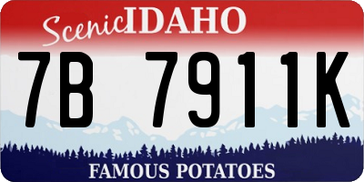 ID license plate 7B7911K