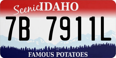 ID license plate 7B7911L