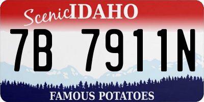 ID license plate 7B7911N