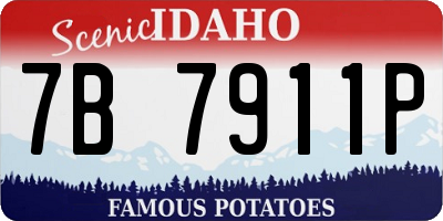 ID license plate 7B7911P