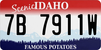 ID license plate 7B7911W