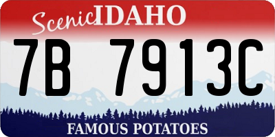 ID license plate 7B7913C