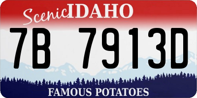 ID license plate 7B7913D