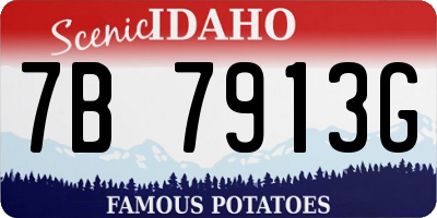 ID license plate 7B7913G