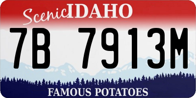 ID license plate 7B7913M