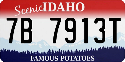 ID license plate 7B7913T