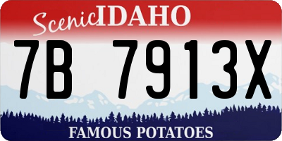 ID license plate 7B7913X