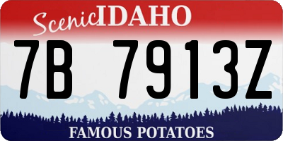 ID license plate 7B7913Z