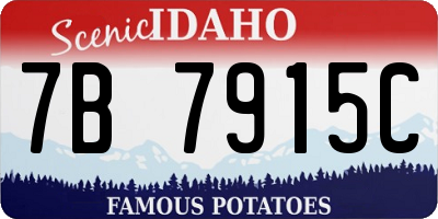 ID license plate 7B7915C