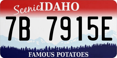 ID license plate 7B7915E