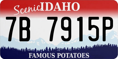 ID license plate 7B7915P