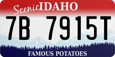 ID license plate 7B7915T