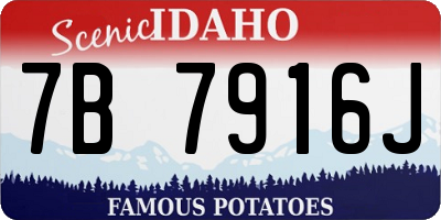 ID license plate 7B7916J