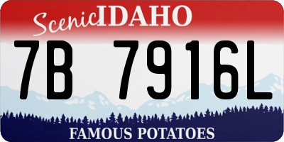 ID license plate 7B7916L