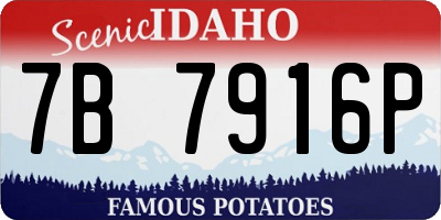 ID license plate 7B7916P