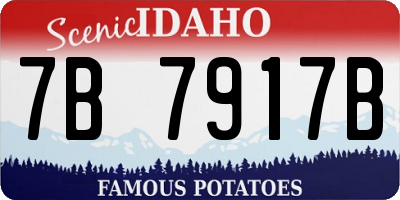 ID license plate 7B7917B