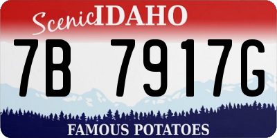 ID license plate 7B7917G