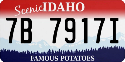 ID license plate 7B7917I
